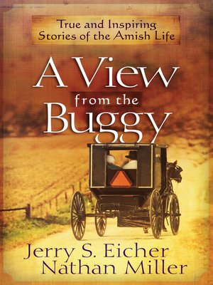 A View from the Buggy - ebook